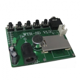 WTR010-SD Voice Recording Module