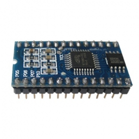 WT588D Programmable Sound Module -28Pin